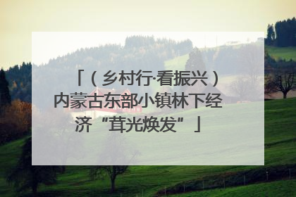 （乡村行·看振兴）内蒙古东部小镇林下经济“茸光焕发”